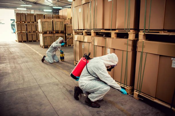 Best Emergency Pest Control  in Dunean, SC
