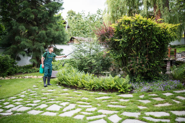 Best Wasp Removal Services  in Dunean, SC
