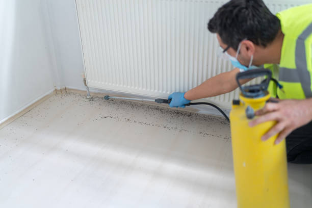 Best Flea Control Services  in Dunean, SC